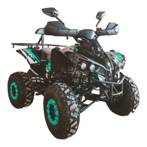atv-125cc-kxd-renegate-008-pro-lemon-e-start-automata-3-1-4-timpi-8-inch-bord-digital-turcoaz-3