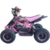 ATV-copii-49cc-Ultra-Motocross-Raptor-demaror-automata-1-6-inch-2-timpi-roz-2 ATV-copii-49cc-Ultra-Motocross-Raptor-demaror-automata-1-6-inch-2-timpi-roz-2