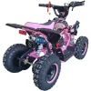 ATV-copii-49cc-Ultra-Motocross-Raptor-demaror-automata-1-6-inch-2-timpi-roz-5 ATV-copii-49cc-Ultra-Motocross-Raptor-demaror-automata-1-6-inch-2-timpi-roz-5