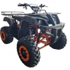 atv-200cc-KXD-Monster-pornire-e-start-cutie-de-viteza-F-N-R-roti-10-inch-Portocaliu-7 atv-200cc-KXD-Monster-pornire-e-start-cutie-de-viteza-F-N-R-roti-10-inch-Portocaliu-7
