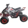 ATV-125cc-pentru-copii-KXD-Pro-Germany-Raptor-004-Motor-pe-benzina-in-4-timpi-Pornire-la-buton-Cutie-de-viteza-Semi-automata-1+1- Roti-7-inch-Rosu-Alb-2 ATV-125cc-pentru-copii-KXD-Pro-Germany-Raptor-004-Motor-pe-benzina-in-4-timpi-Pornire-la-buton-Cutie-de-viteza-Semi-automata-11-Roti-7-inch-Rosu-Alb-2