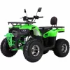 ATV-125cc-pentru-copii-XTL-Wild-Motor-pe-benzina-in-4-timpi-Pornire-la-buton-Cutie-de-viteza-F-N-R-Roti-8-inch-Verde-1 ATV-125cc-pentru-copii-XTL-Wild-Motor-pe-benzina-in-4-timpi-Pornire-la-buton-Cutie-de-viteza-F-N-R-Roti-8-inch-Verde-1