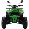 ATV-125cc-pentru-copii-XTL-Wild-Motor-pe-benzina-in-4-timpi-Pornire-la-buton-Cutie-de-viteza-F-N-R-Roti-8-inch-Verde-2 ATV-125cc-pentru-copii-XTL-Wild-Motor-pe-benzina-in-4-timpi-Pornire-la-buton-Cutie-de-viteza-F-N-R-Roti-8-inch-Verde-2-1