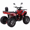 ATV-125cc-pentru-copii-XTL-Wild-Motor-pe-benzina-in-4-timpi-Pornire-la-buton-Cutie-de-viteza-F-N-R-Roti-8-inch-Verde-2