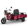 Triciclu Electric 1000W