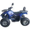 ATV-125cc-pentru-copii-XTL-Wild-Motor-pe-benzina-in-4-timpi-Pornire-la-buton-Cutie-de-viteza-F-N-R-Roti-8-inch-Albastru-2 ATV-125cc-pentru-copii-XTL-Wild-Motor-pe-benzina-in-4-timpi-Pornire-la-buton-Cutie-de-viteza-F-N-R-Roti-8-inch-Albastru-2