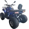 ATV-125cc-pentru-copii-XTL-Wild-Motor-pe-benzina-in-4-timpi-Pornire-la-buton-Cutie-de-viteza-F-N-R-Roti-8-inch-Albastru-3 ATV-125cc-pentru-copii-XTL-Wild-Motor-pe-benzina-in-4-timpi-Pornire-la-buton-Cutie-de-viteza-F-N-R-Roti-8-inch-Albastru-3