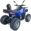 ATV-125cc-pentru-copii-XTL-Wild-Motor-pe-benzina-in-4-timpi-Pornire-la-buton-Cutie-de-viteza-F-N-R-Roti-8-inch-Albastru-5 ATV-125cc-pentru-copii-XTL-Wild-Motor-pe-benzina-in-4-timpi-Pornire-la-buton-Cutie-de-viteza-F-N-R-Roti-8-inch-Albastru-5