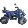 ATV-125cc-pentru-copii-XTL-Wild-Motor-pe-benzina-in-4-timpi-Pornire-la-buton-Cutie-de-viteza-F-N-R-Roti-8-inch-Albastru-6 ATV-125cc-pentru-copii-XTL-Wild-Motor-pe-benzina-in-4-timpi-Pornire-la-buton-Cutie-de-viteza-F-N-R-Roti-8-inch-Albastru-6