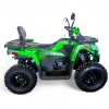 ATV 250cc Verde Titan Tao Motor Inmatriculabil 2 Locuri