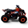 ATV Brushless Electric 1000W 48V XTL Renegade 6 inch Portocaliu
