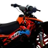 ATV Renegade XTL pentru copii Electric
