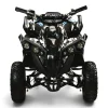 ATV XTL Renegade Electric 1000W 48V Negru